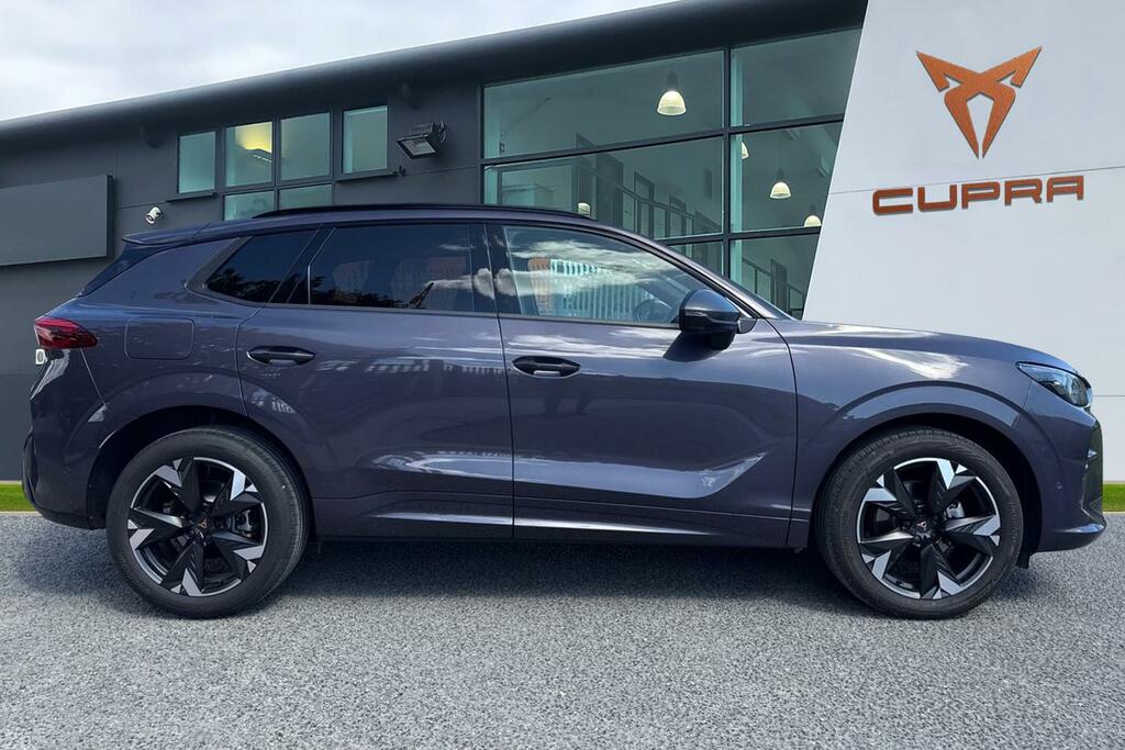 Cupra Terramar 1.5 Etsi V2 Dsg Euro 6 Ss Purple #3