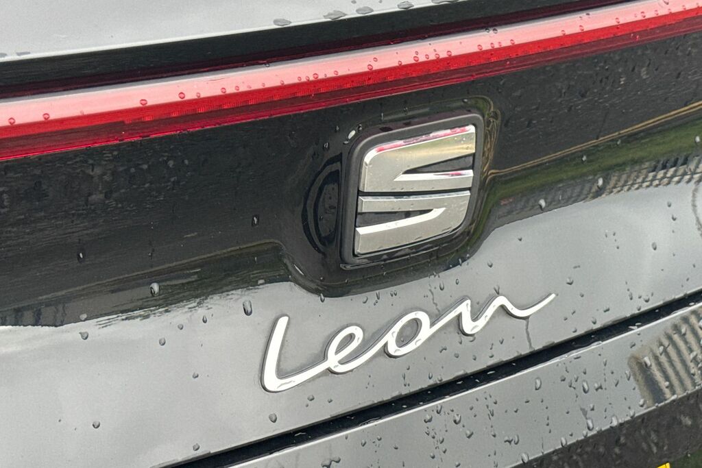 Seat Leon Hatchback Grey #28