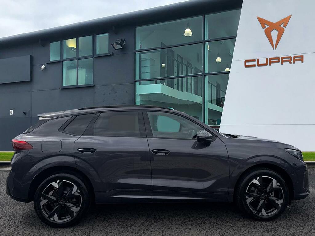 Cupra Terramar 1.5 Etsi 150 V2 Dsg Purple #3
