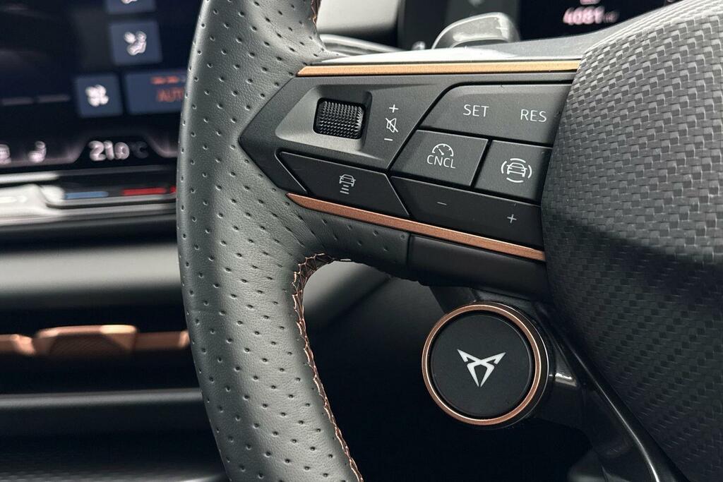 Cupra Terramar Cupra Terramar Se336 Black #35