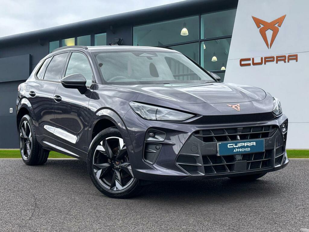 Cupra Terramar 1.5 Etsi 150 V2 Dsg Purple