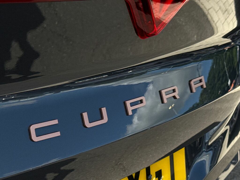 Cupra Terramar 1.5 Etsi V2 Suv Hybrid Dsg White #29