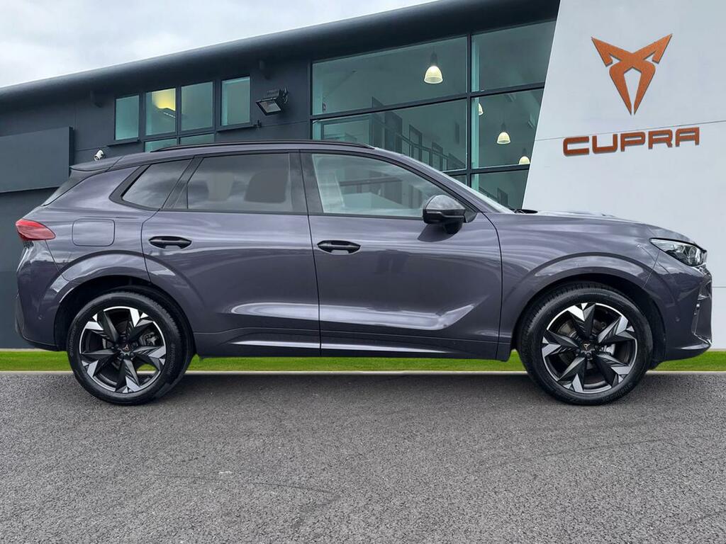 Cupra Terramar 1.5 Etsi 150 V2 Dsg Purple #3