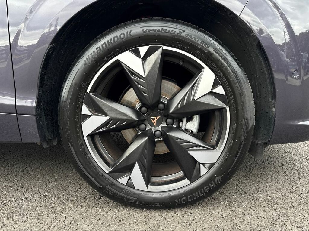 Cupra Terramar 1.5 Etsi 150 V2 Dsg Purple #6