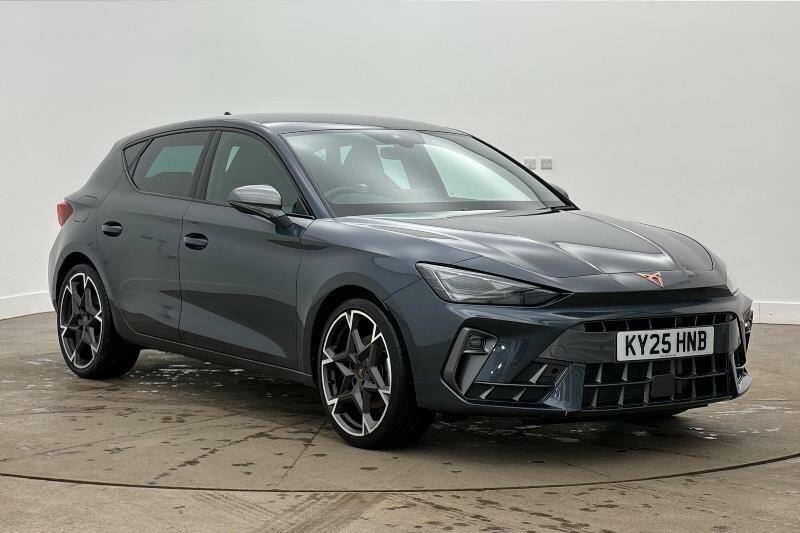 Cupra Leon 1.5 Tsi V2 Euro 6 Ss Grey