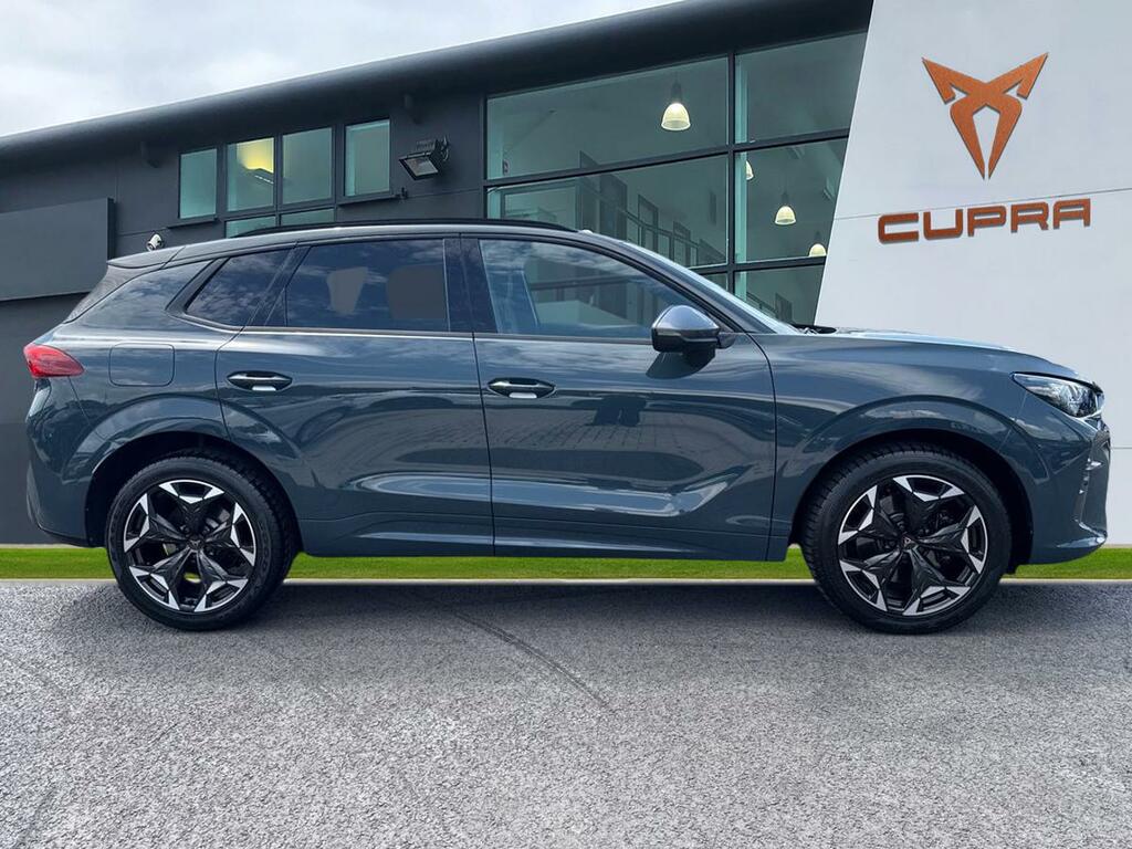 Cupra Terramar 2.0 Tsi 265 Vz1 Dsg 4Drive Blue #3