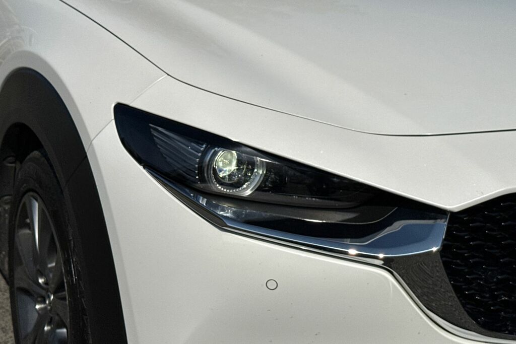 Mazda CX-30 2.0 Skyactiv-x Mhev Gt Sport Euro 6 Ss Grey #24