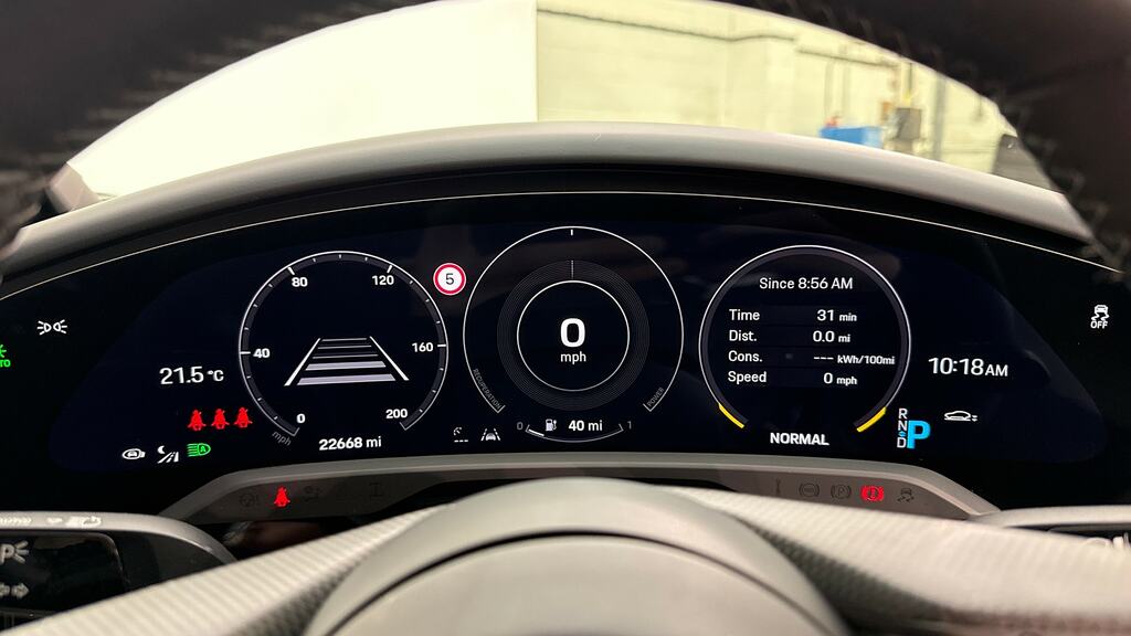 Porsche Taycan Plus 93.4Kwh Saloon Pink #16