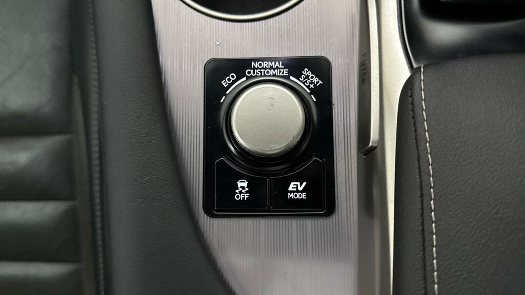 Lexus RX 3.5L F Sport Black #19