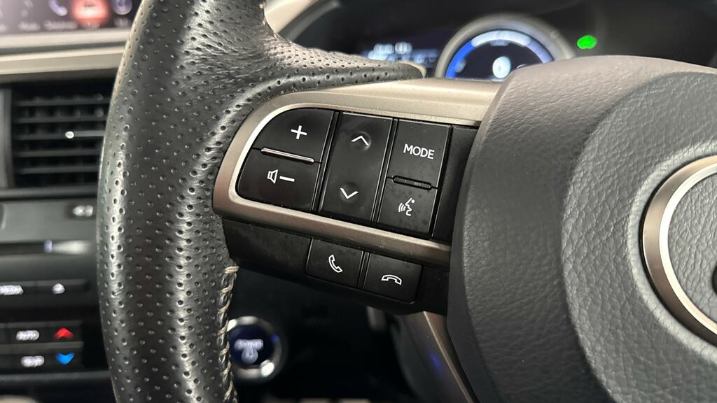 Lexus RX 3.5L F Sport Black #17