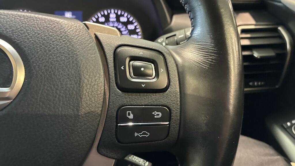 Lexus NX 300H 2.5 Sport Cvt Silver #18