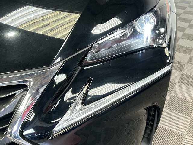 Lexus NX Suv White #16