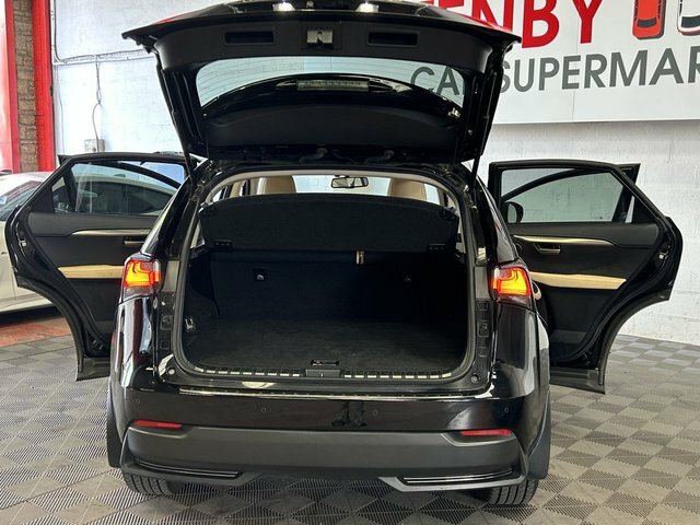 Lexus NX Suv White #13