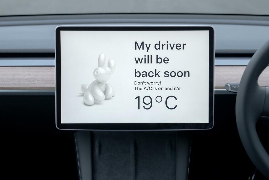 Tesla Model Y Auto Rwd 5dr Blue #24
