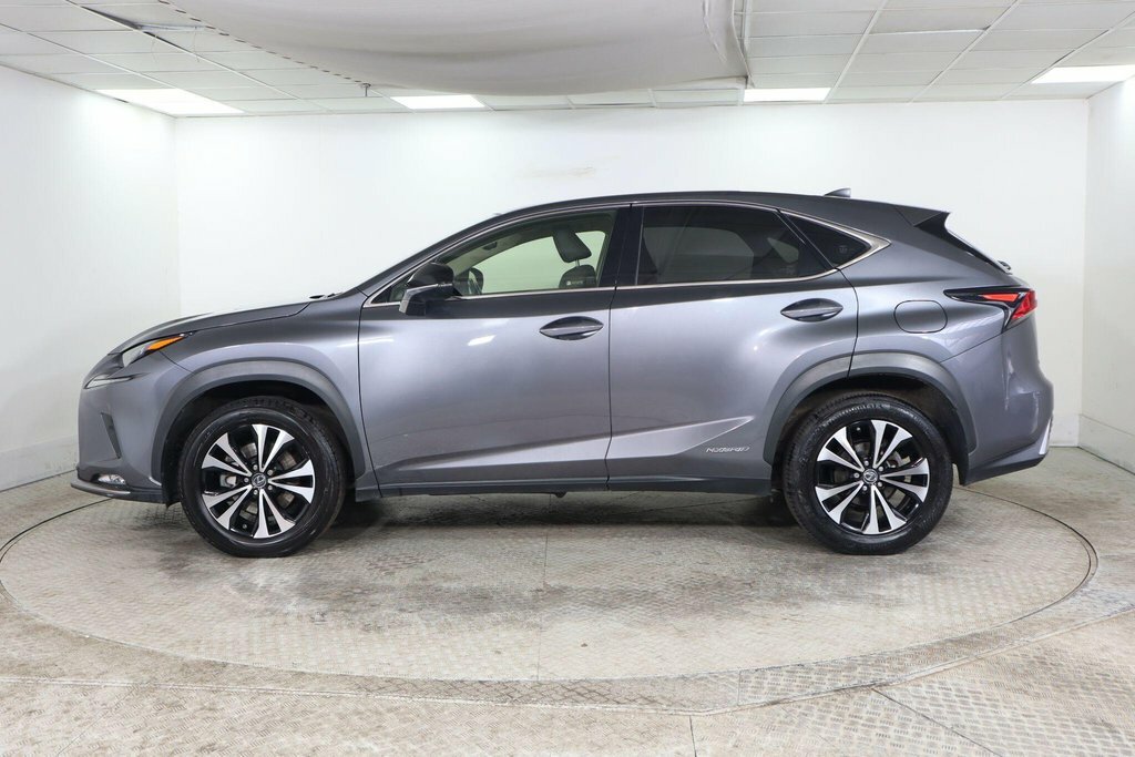 Lexus NX Suv Grey #5