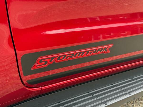 Ford Ranger 2.0 Ecoblue Wildtrak Pickup Double Cab Grey #46