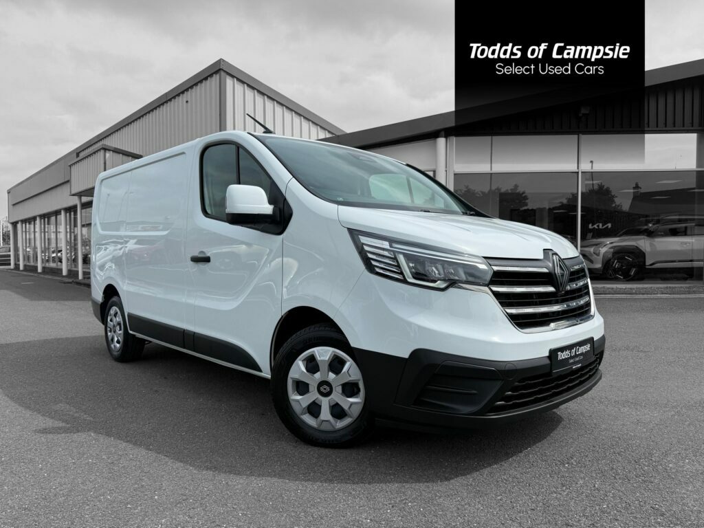 Renault Trafic 2.0 Dci Blue Sl30 Advance Panel Van Man White
