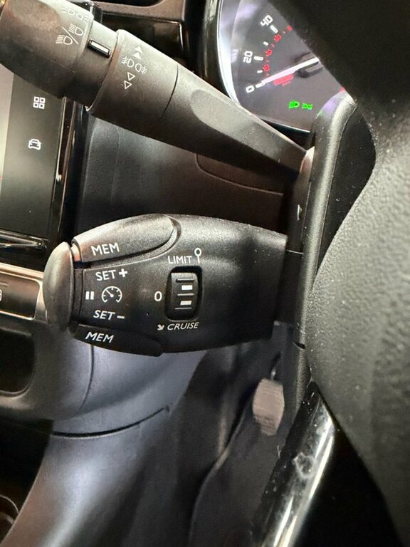 Citroen C3 1.2 Puretech Shine Plus Euro 6 Ss Green #49
