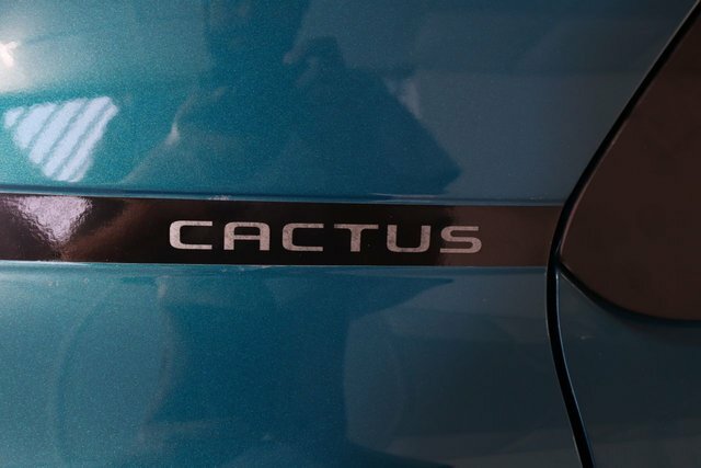 Citroen C4 Cactus Flair Grey #42
