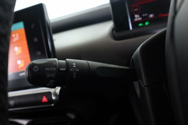 Citroen C4 Cactus Flair Grey #25
