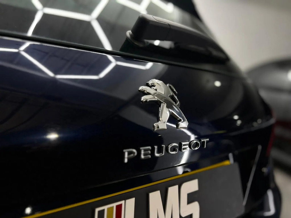 Peugeot 308  Black #66