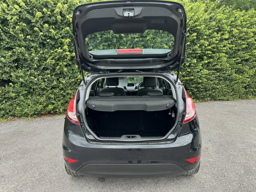 Ford Fiesta Grey #6