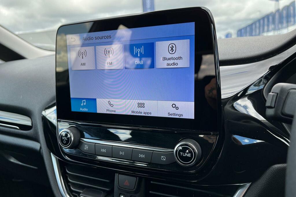 Ford Fiesta 1.0 Ecoboost Titanium Grey #24