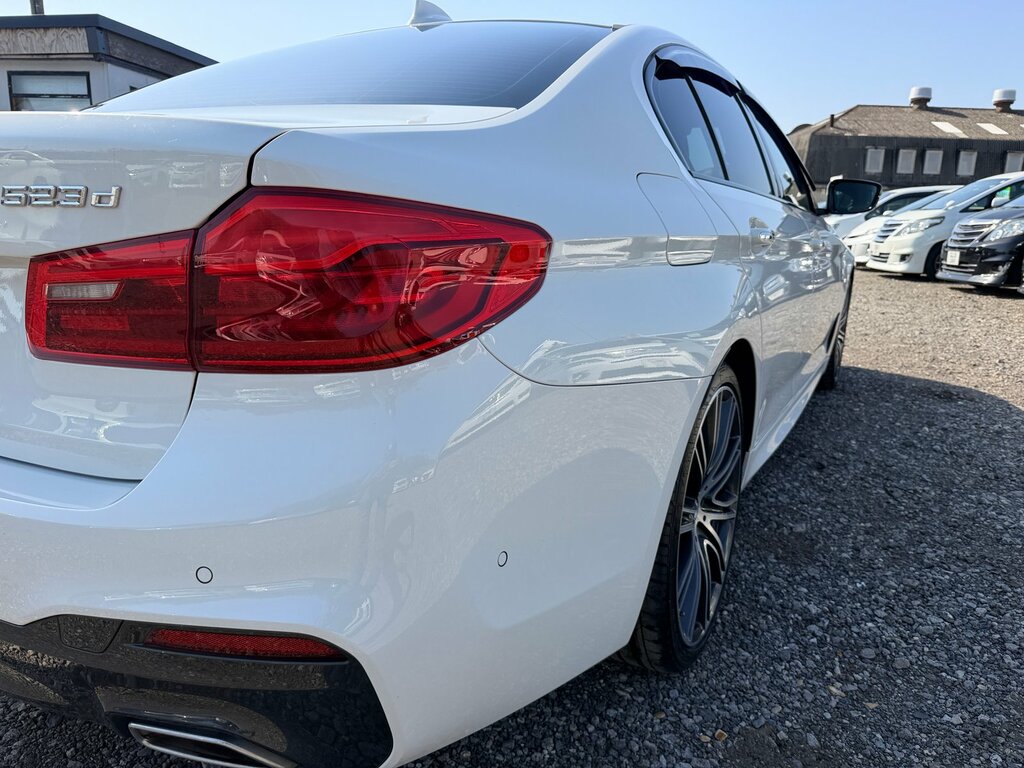 BMW 5 Series 520D 190 Se Step  #19
