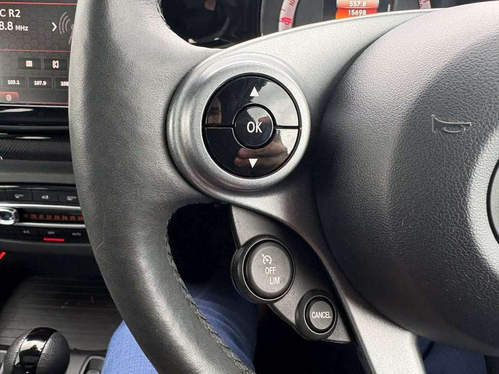 Smart Forfour Eq Forfour Premium Black #19