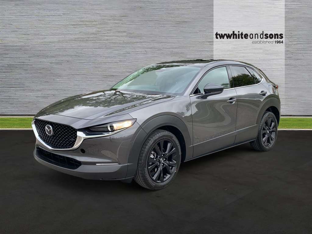 Mazda CX-30 186Ps 2Wd Homura