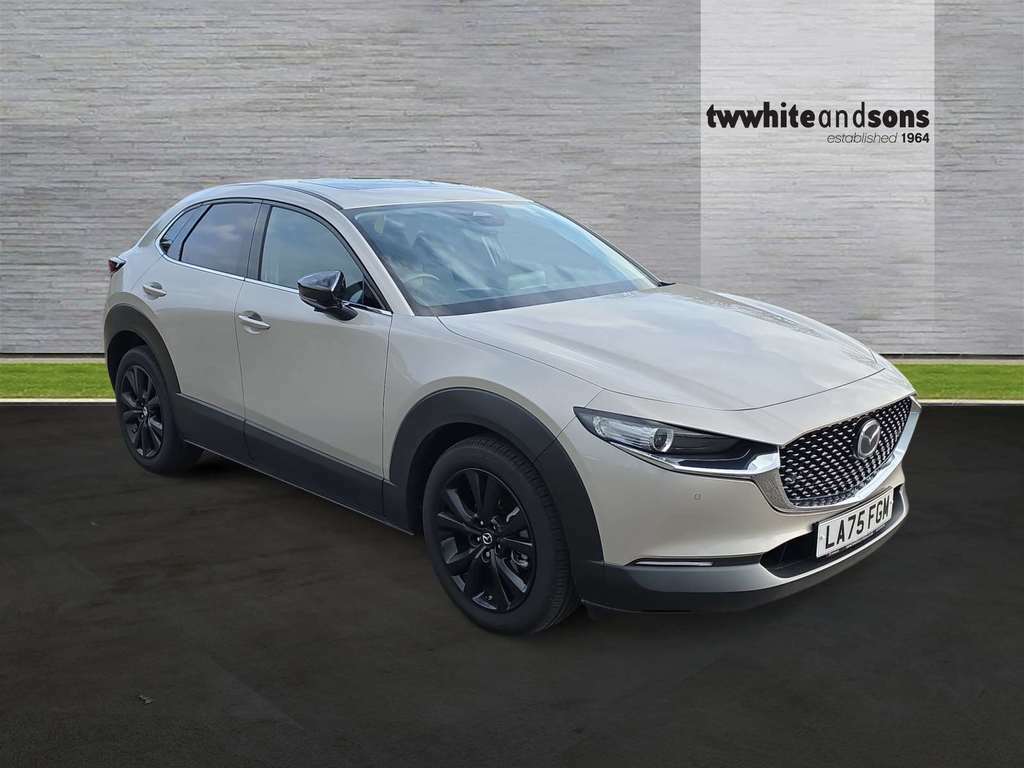 Mazda CX-30 186Ps 2Wd Homura #3