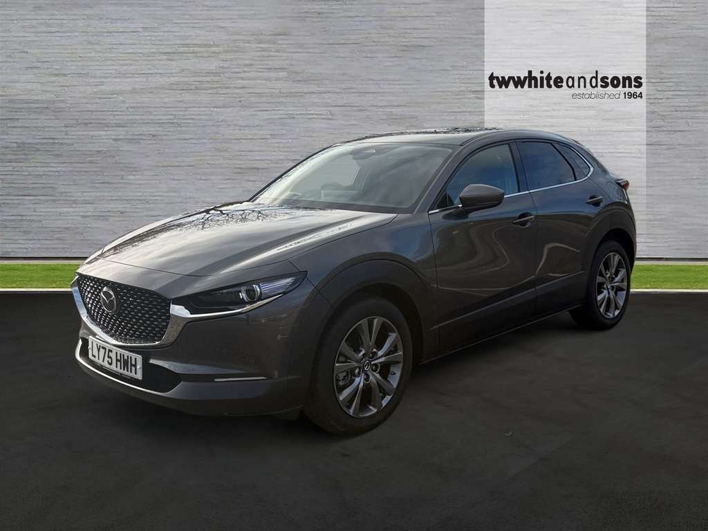 Mazda CX-30 186Ps 2Wd Exclusive-line Grey