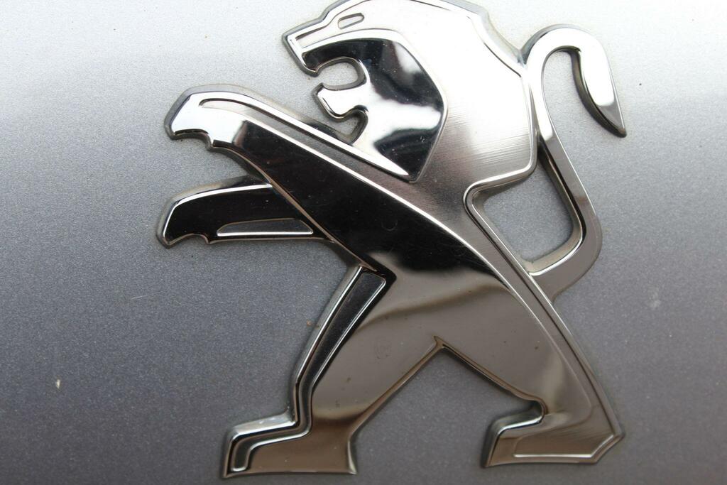 Peugeot 2008 Grey #38