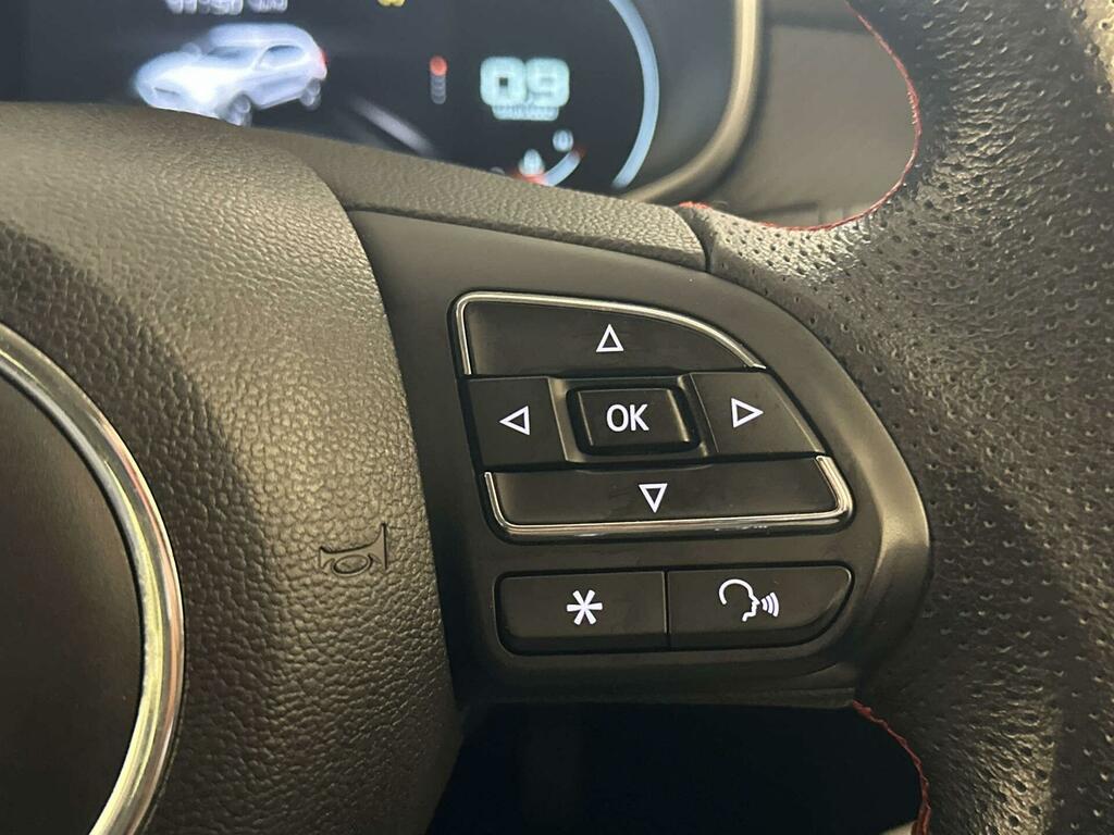 MG ZS #17