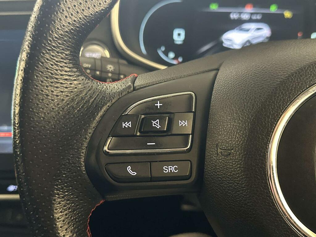 MG ZS #15