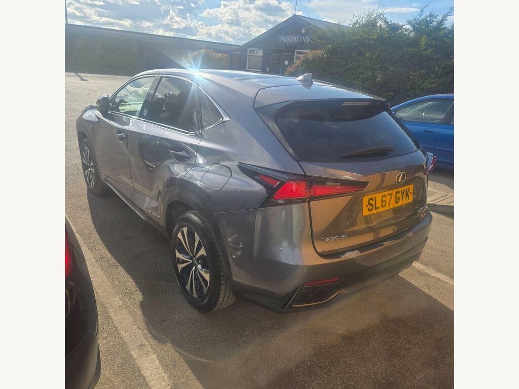 Lexus NX 2.5 300H F Sport E-cvt 4Wd Euro 6 S S Grey #6