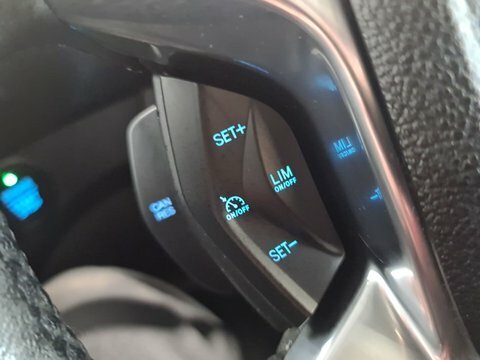 Ford Transit Connect Trend 250 L2120 Psacalloys Grey #27