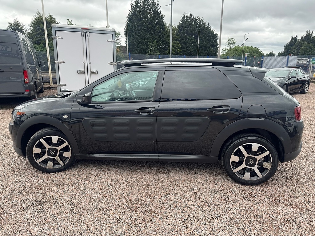Citroen C4 Cactus Bluehdi Flair Silver #10