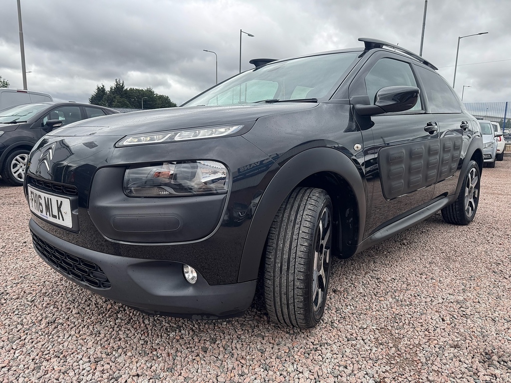 Citroen C4 Cactus Bluehdi Flair Silver #14