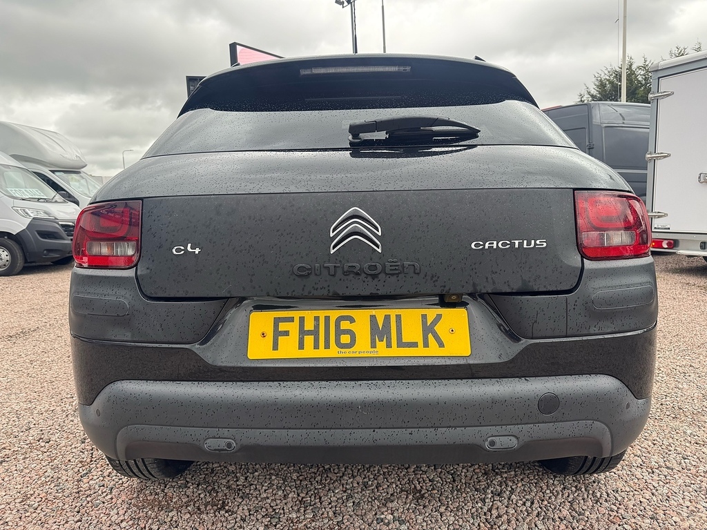 Citroen C4 Cactus Bluehdi Flair Silver #7