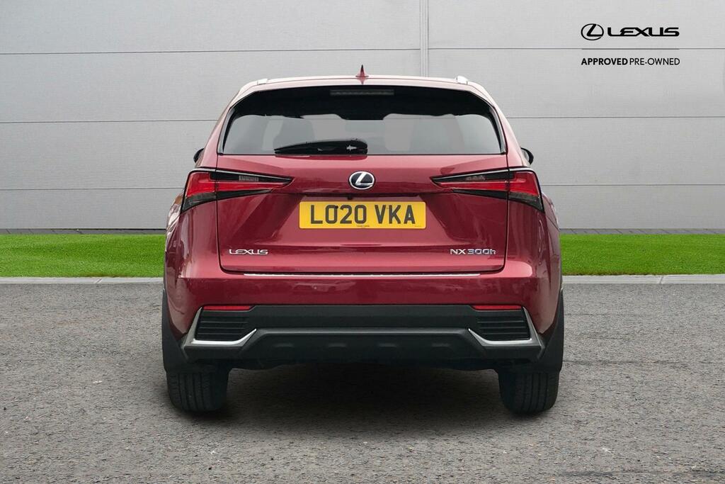 Lexus NX 2.5 300H Gpf E-cvt 4Wd Euro 6 Ss LO20VKA Red #4