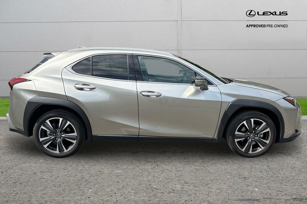 Lexus UX F Sport Design Grey #23