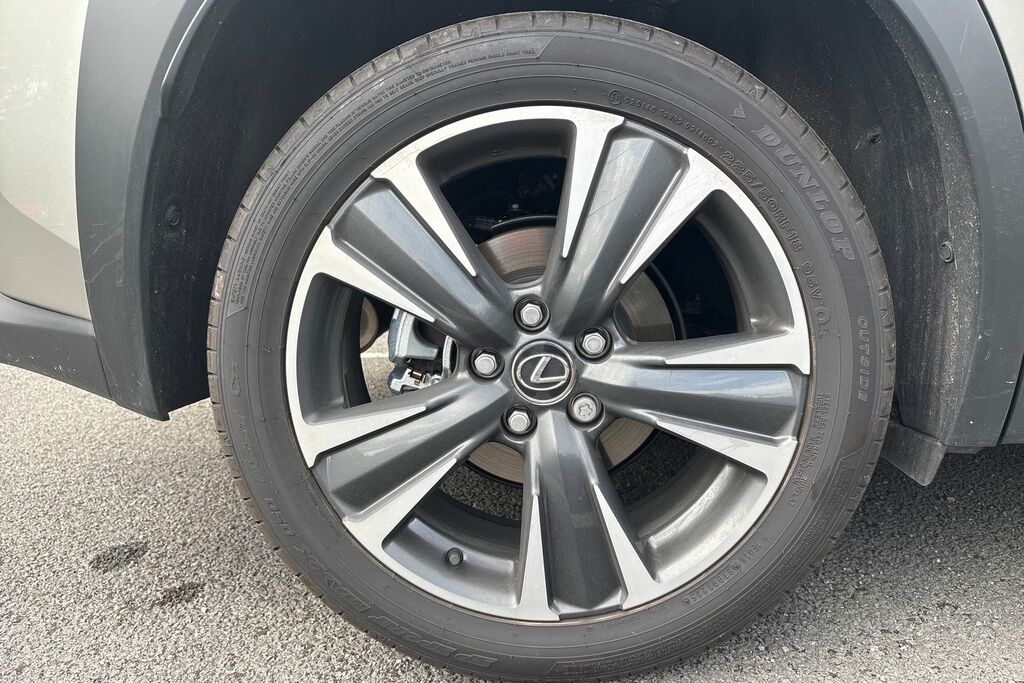 Lexus UX F Sport Design Grey #24