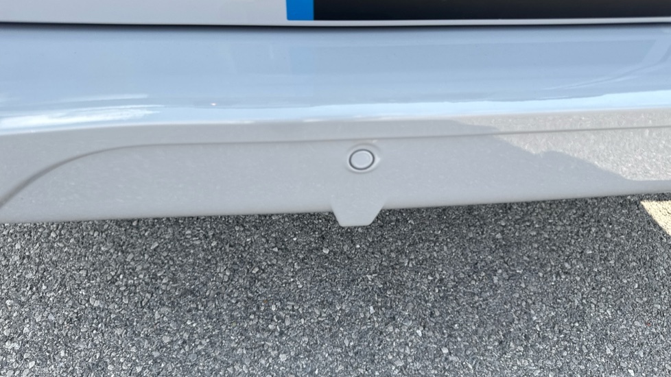 Ford Transit Custom Panel Van 2.0 Transit Trend Van 350 L3 2.0L Ecoblu White #24