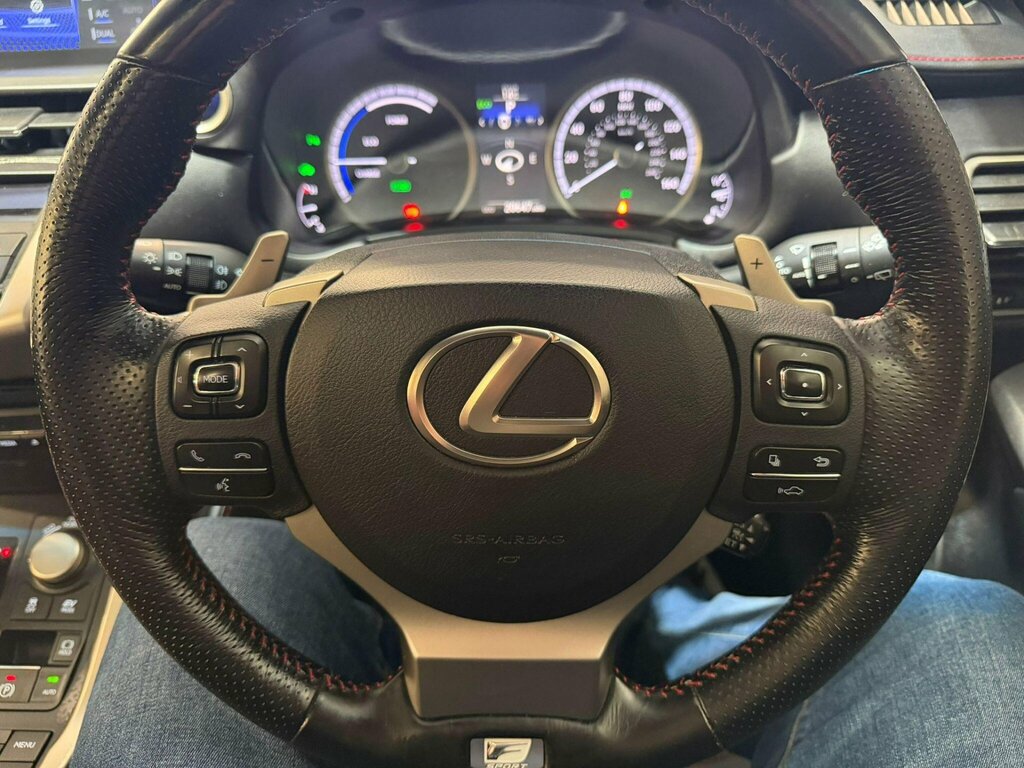Lexus NX 300H 2.5 Luxury Cvt Black #21
