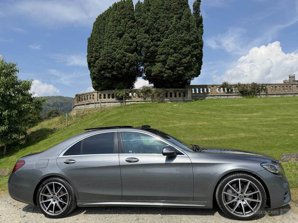 Mercedes-Benz S Class S350d Amg Line Executive Prem Plus 9G-tronic Grey #2