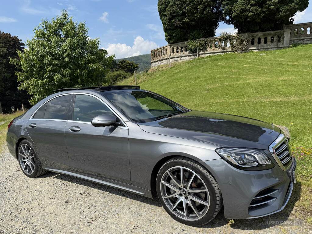 Mercedes-Benz S Class S350d Amg Line Executive Prem Plus 9G-tronic Grey #5