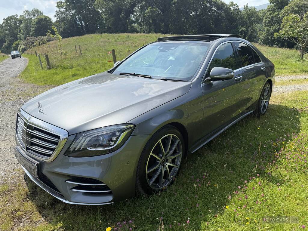 Mercedes-Benz S Class S350d Amg Line Executive Prem Plus 9G-tronic Grey #4
