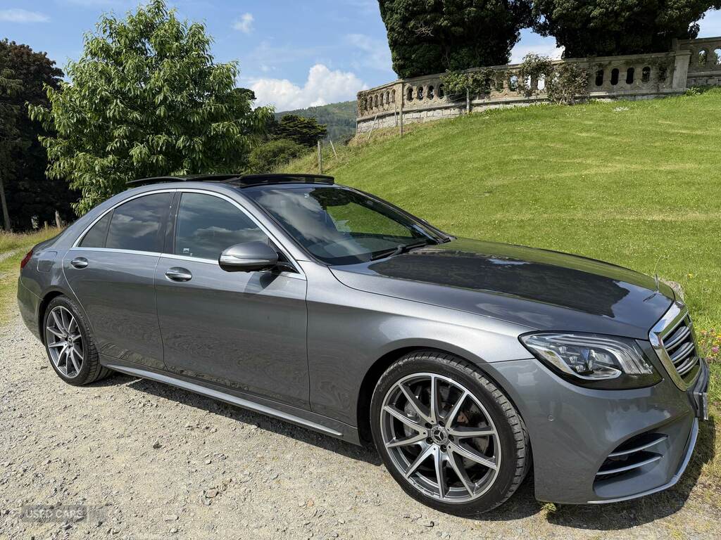 Mercedes-Benz S Class S350d Amg Line Executive Prem Plus 9G-tronic Grey