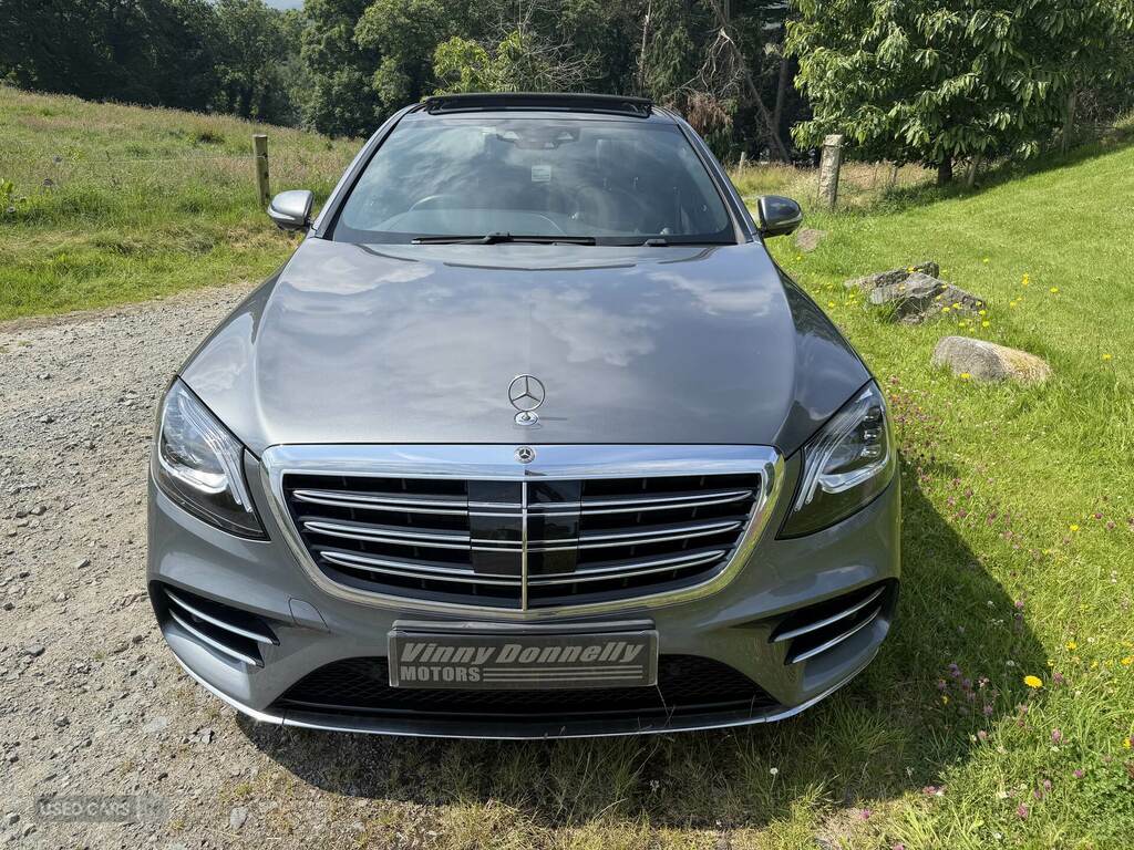 Mercedes-Benz S Class S350d Amg Line Executive Prem Plus 9G-tronic Grey #3